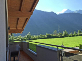Luxurious Apartment near Four Ski Lifts in Mayrhofen